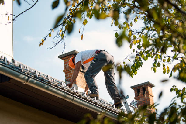 Gutter Installation and Roofing in Abbotsford, WI