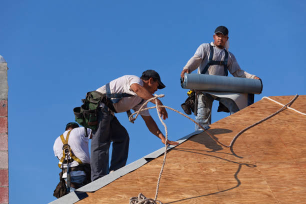 Best Flat Roof Repair Services  in Abbotsford, WI
