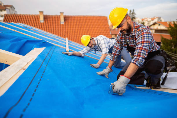 Best Flat Roof Repair Services  in Abbotsford, WI