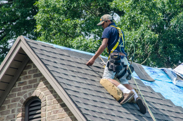 Quick and Trustworthy Emergency Roof Repair Services in Abbotsford, WI